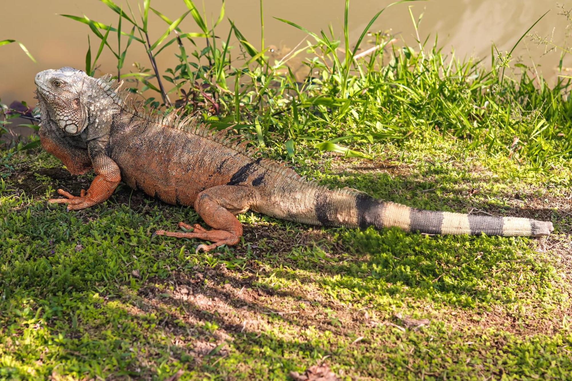 Los Colores Ecoparque Doradal Bagian luar foto