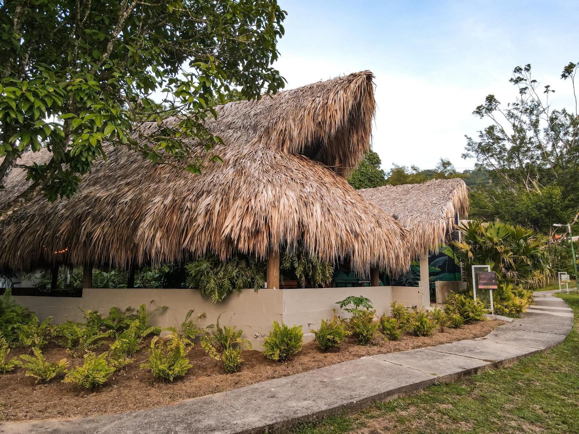 Los Colores Ecoparque Doradal Bagian luar foto